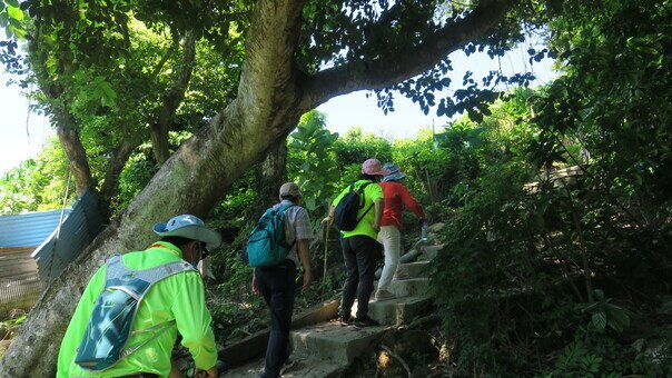 Green Lifestyle Local Tour - Tung Lung Island