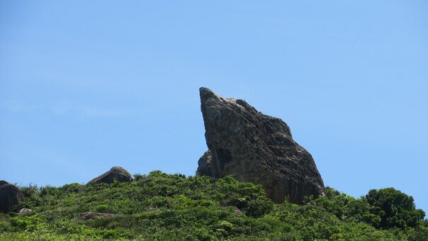 Green Lifestyle Local Tour - Tung Lung Island