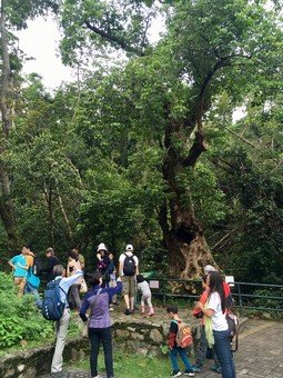 Hakka cultural and ecology tour