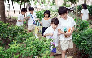 Caring Angel Scheme (Orientation Fortnight)