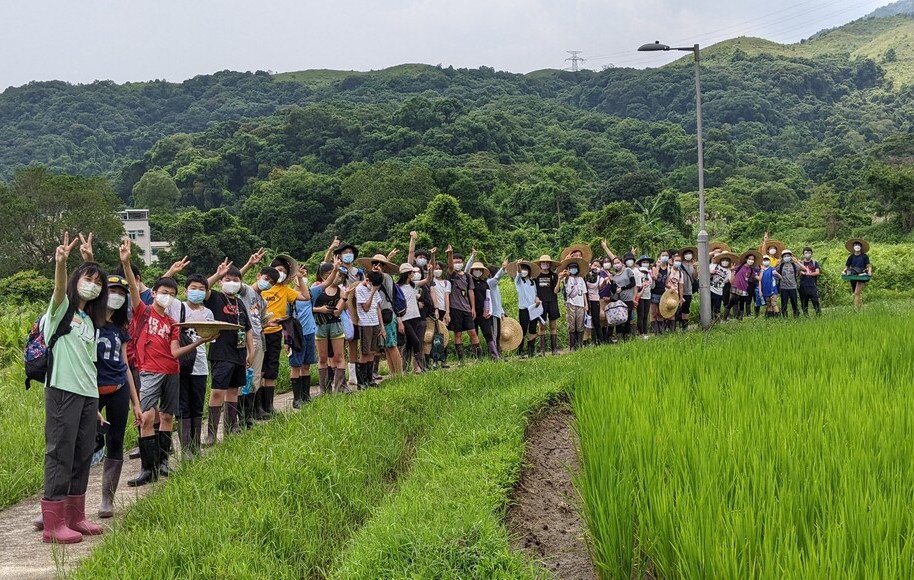 大埔林村水稻種植學習體驗